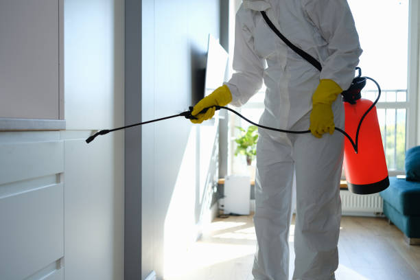 Best Toxic Mold Removal  in Irving, TX